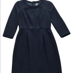 Looking to BUY! J Crew Teddie Dress—any color